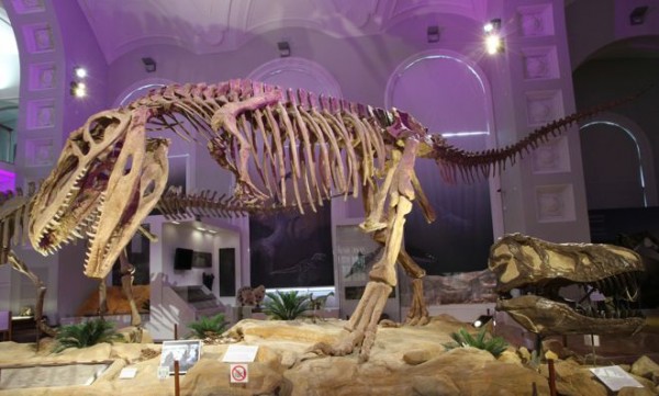 mtur_elaman_historia_aloituskuva-600x361