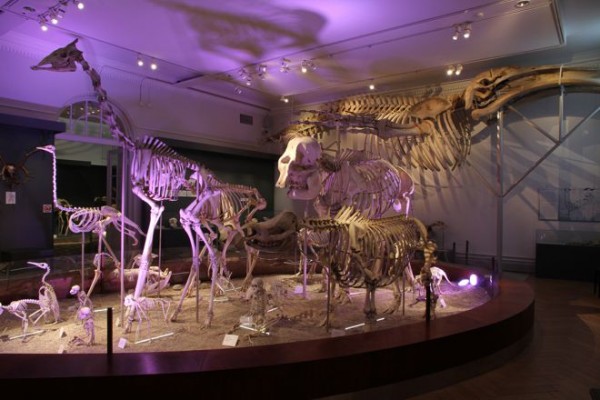 tilakuva_15_mtur_luut_kertovat-600x400