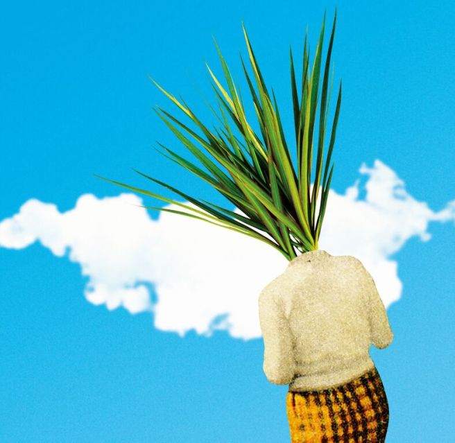 someplantsjohaniskasson