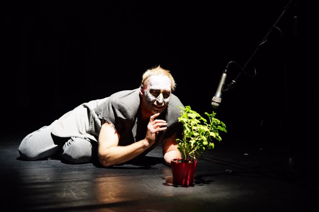 30514777181_28327a8460_k