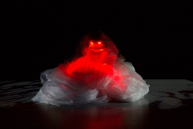 Flora_Fauna_photo5_joona_pettersson