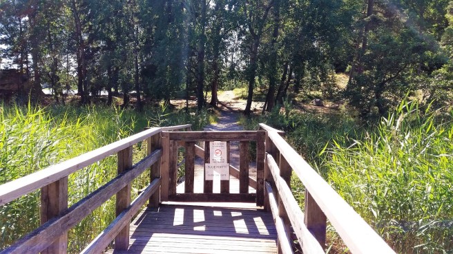 mustasaari hevossaari