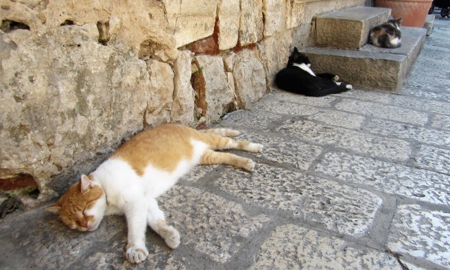 Dubrovnik Kulttuurikuuri (4)