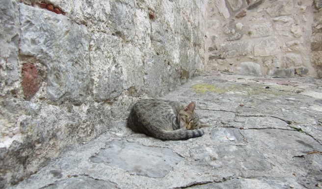 Montenegro Kulttuurikuuri (8)